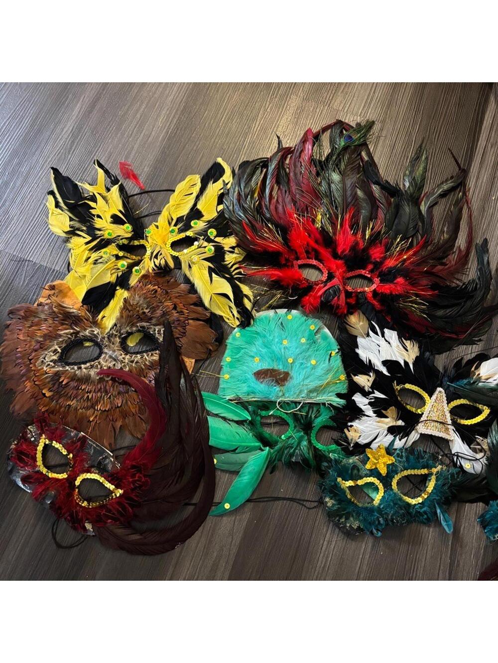 7 Assorted Mardi Gras Feather Masks and Feathers DIY Project